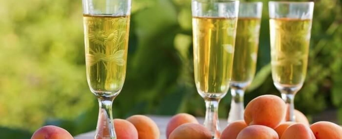Современное виноделие: домашнее вино из абрикосов и кураги