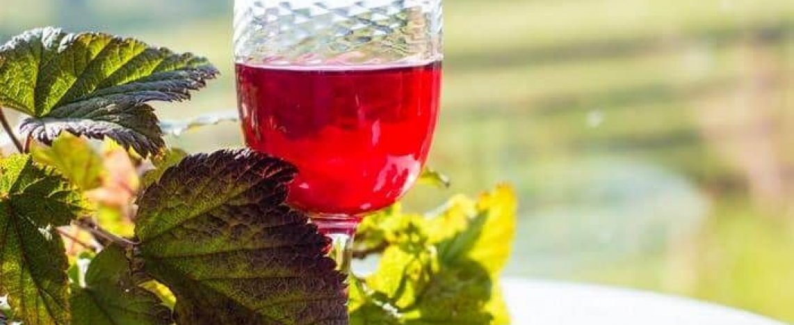 Современное виноделие: домашнее вино из смородины